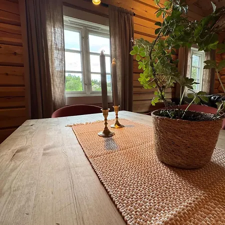 Gunhild-stugu I Jotunheimen Skogbygdi