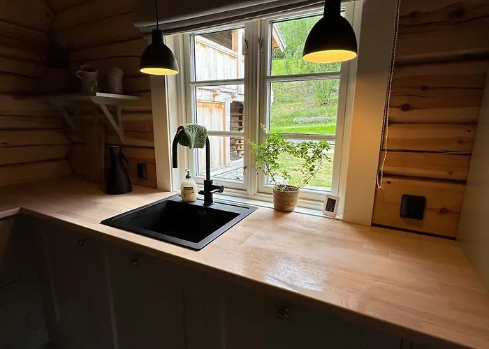 Semesterbostad Gunhild-stugu I Jotunheimen Skogbygdi