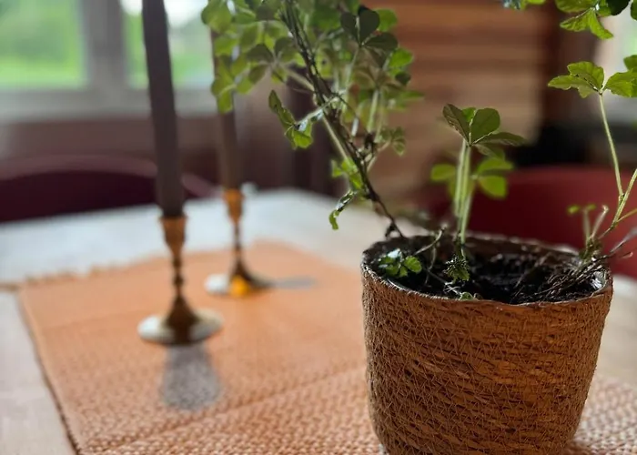 Gunhild-stugu I Jotunheimen Semesterbostad Skogbygdi